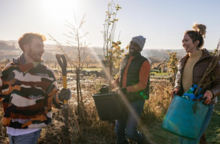 Three people planting trees in sunlight. One person holds a shovel, another carries a potted plant, and the third holds a blue container. They are smiling and standing in a field with young trees. No visible text.